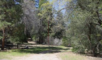 30 Seven Oaks Rd 30, Angelus Oaks, CA 92305