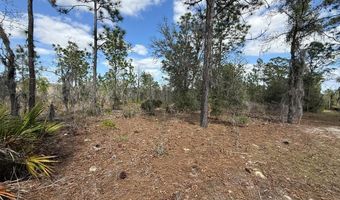 101 St Ct, Archer, FL 32618