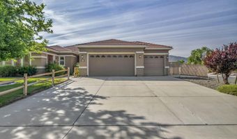 515 Crabapple Ln, Dayton, NV 89403