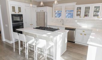 229 W Hallam St, Aspen, CO 81611