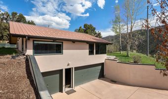 561 Booth Ln, Basalt, CO 81621