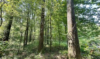 2 Champion Hill Rd, Bolton, MS 39041