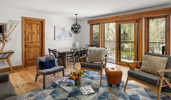 1020 E Durant Ave 301, Aspen, CO 81611