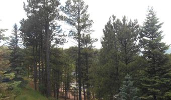 Five Springs Road unit E-1 E-1, Angel Fire, NM 87710
