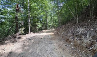 643 Pine Grove Rd, Beattyville, KY 41311