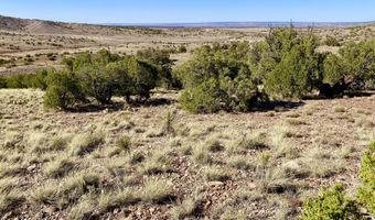 Tbd Co Rd 5062 Lot 1 3.53 Acres, Concho, AZ 85924