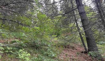 TBD Four Corners, Amasa, MI 49903