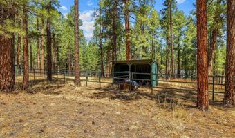 61 Co Rd 2266, Alpine, AZ 85920
