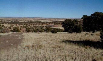 Lot 13 N8526, Concho, AZ 85924