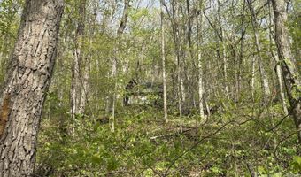 999999 Harwood Rd, Barnardsville, NC 28709