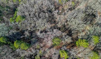 365 Skinner Rd, Austin, AR 72007