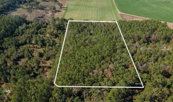 Tbd N COUNTY RD 1491, Alachua, FL 32615
