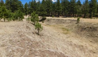 10 N2310, Alpine, AZ 85920