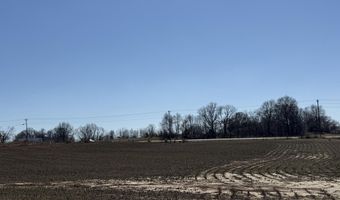2966 N U.S. 412, Alamo, TN 38001
