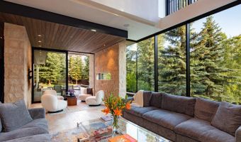 979 Red Mountain Rd, Aspen, CO 81611