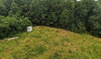 17585 Co Rd #Af-304, Ava, MO 65608