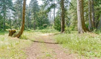 24873 S BEESON Rd, Beavercreek, OR 97004