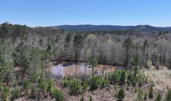 761 Richardson, Amity, AR 71921