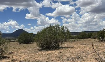 59 Rocky Rabbit Rd, Ash Fork, AZ 86320