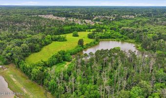 Vine Drive, Brandon, MS 39047