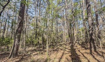 1560 NE Bens Trl, Brookhaven, MS 39601