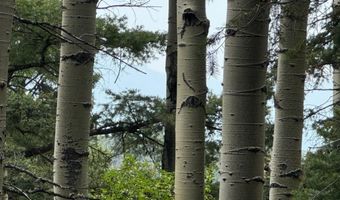 Lot 141 Back Basin Rd, Angel Fire, NM 87710