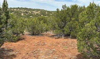 46 County Road 3048, Concho, AZ 85924