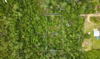 Drew Hall lot 9-10, Altha, FL 32421