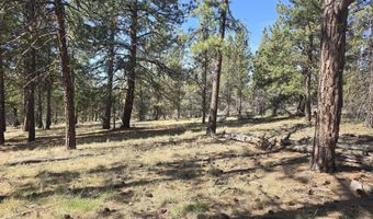 Widgeon Drive 39, Bonanza, OR 97623