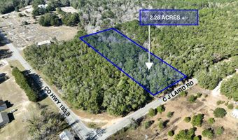 Lot 2 C J Laird Rd, Argyle, FL 32422