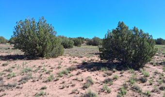 268 N 5380, Concho, AZ 85924