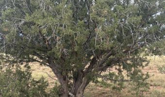 N8485, Concho, AZ 85924