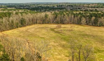 14301 Mann Ln, Alexander, AR 72002