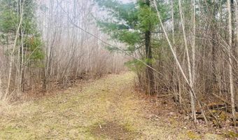 42 53A COUNTY ROAD Q, Amherst Junction, WI 54407