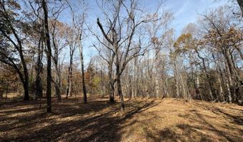 9- F Dulwich Dr, Amherst, VA 24521