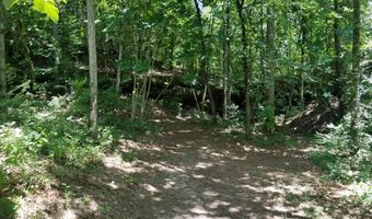 BRUSHY LANE, Arley, AL 35541