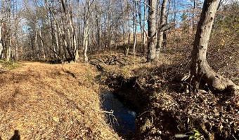 0 Lot 2B Police Tower Rd Lot 2B, Appomattox, VA 24522