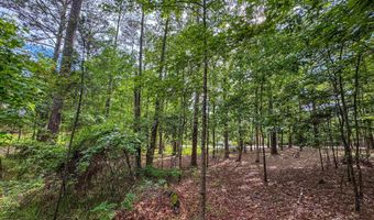 Willow Lane lot 1, Alexander City, AL 35010