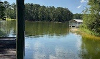711 Galaxy Dr S, Abbeville, AL 39854