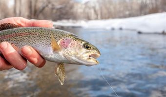 334 MONITOR Dr, Breckenridge, CO 80424