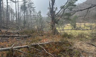 99999 White Pine Ln, Bakersville, NC 28705