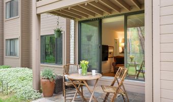412 Vine St, Aspen, CO 81611