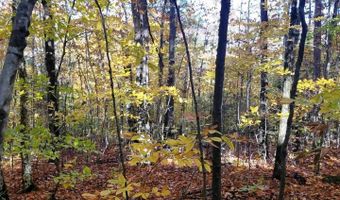 12-10 Boulder Dr, Campton, NH 03223