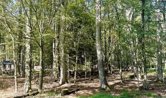 Mansi Dr, Albrightsville, PA 18210