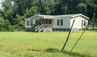 126 Spring Rd, Blenheim, SC 29516