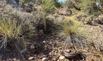 1037 S Canyon Dr, Cedar City, UT 84720