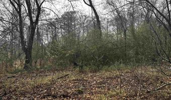 67 Old Wire Rd, Atkins, AR 72823