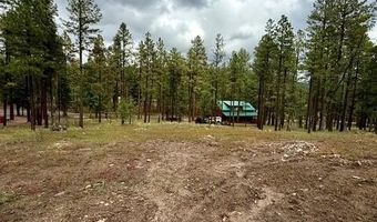 7 Eric Ln, Alpine, AZ 85920