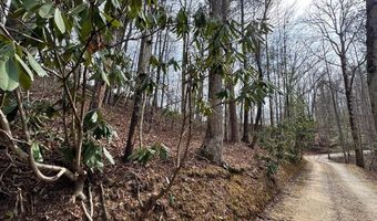 Fontana Forest lot 21, Almond, NC 28702