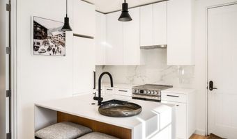 501 W Main St A101, Aspen, CO 81611
